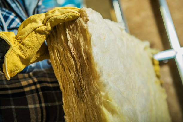 Best Local Insulation Services  in Louisvle, IL