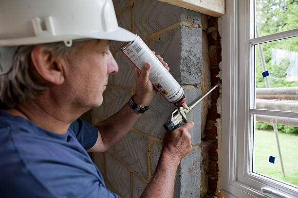 Best Wall Insulation Contractor  in Louisvle, IL